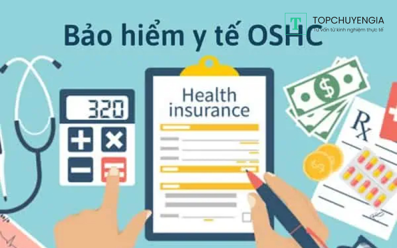 Lợi ích của bảo hiểm OSHC