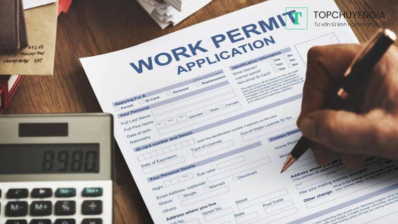 Các quy định cụ thể về việc cấp giấy phép lao động cho người nước ngoài 