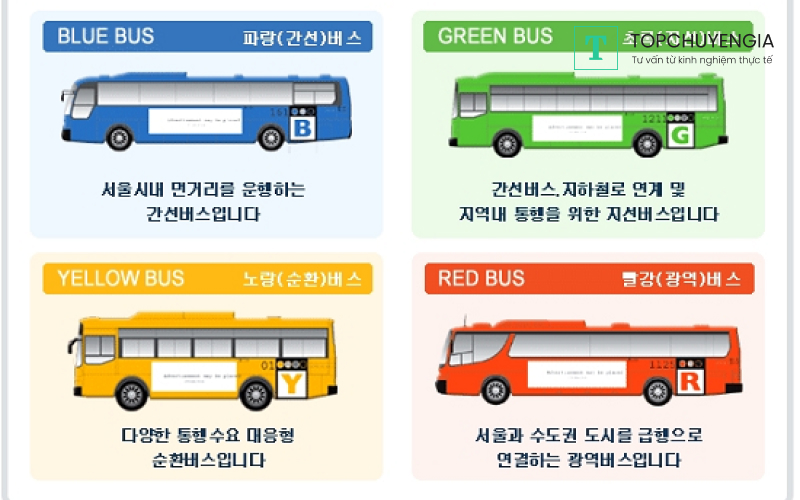 Xe buýt - phương tiện di chuyển phổ biến tại Hàn