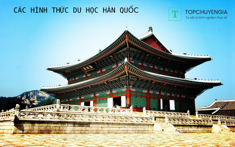 Các hình thức tư vấn du học Hàn Quốc bạn có tham khảo