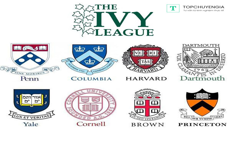 Ivy League là gì 
