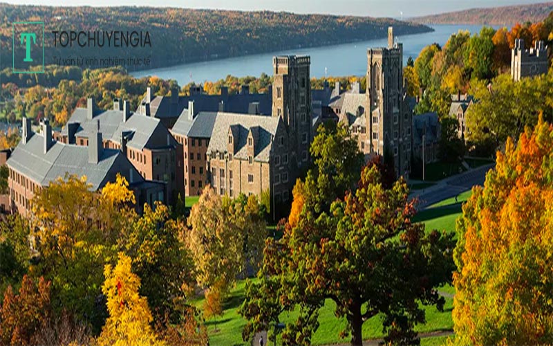 top 20 trường nên đi du học tại Mỹ - Cornell University