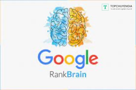Google RankBrain là gì?