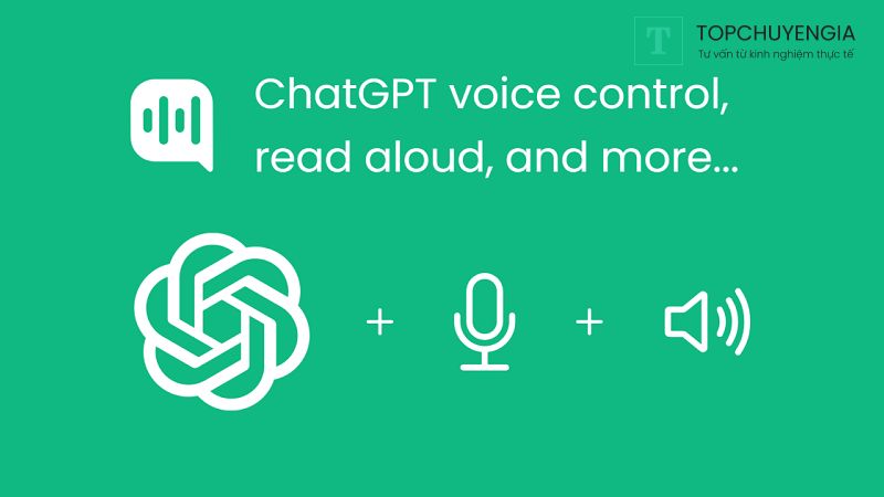  Voice Chat GPT là gì?