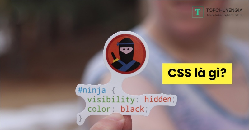 CSS là gì Hướng dẫn cách viết mã CSS cho người mới bắt đầu