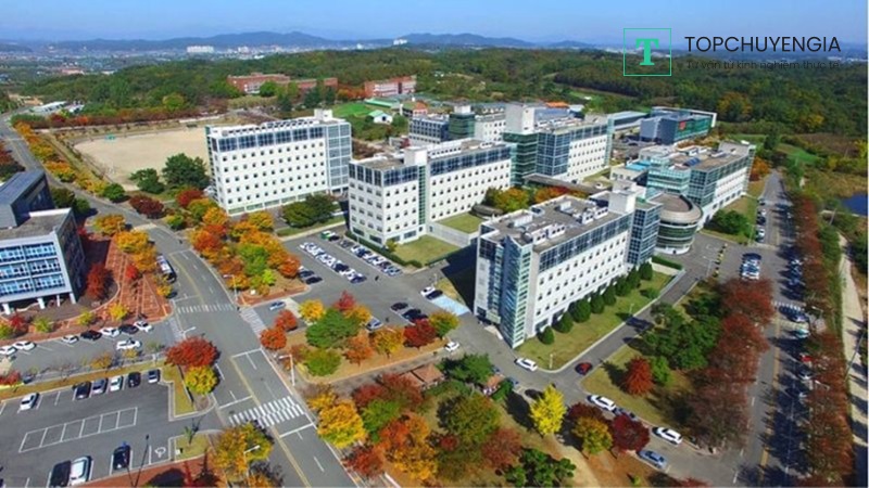 Cơ sở vật chất đại học Myongji