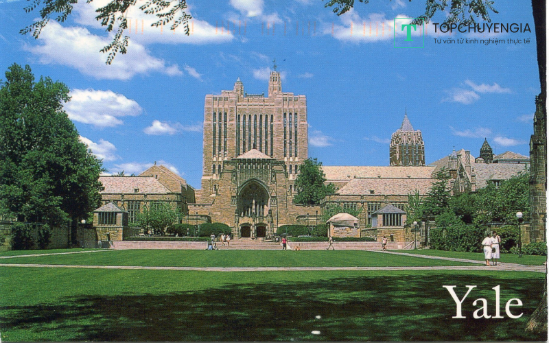 đại học ở Mỹ Yale