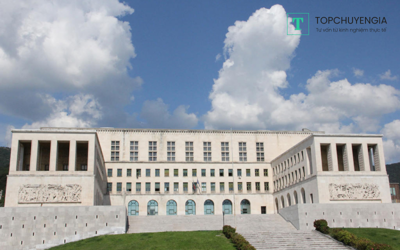 Các lĩnh vực thế mạnh đào tạo, đứng đầu các trường Đại học của Ý như: công nghệ nano, công nghệ thông tin, kỹ thuật công nghiệp, khoa học chính trị. Đại học Trieste xứng đáng là ngôi trường nên đi du học Ý.