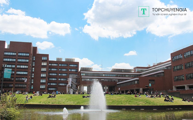 Đại học Tsukuba có đến 31 trường đại học thành viên chuyên đào tạo đại học và sau đại học, 28 viện nghiên cứu khoa học. Những sinh viên theo học tại Đại học Tsukuba sẽ được nhà trường hỗ trợ giới thiệu việc làm thêm thích hợp.