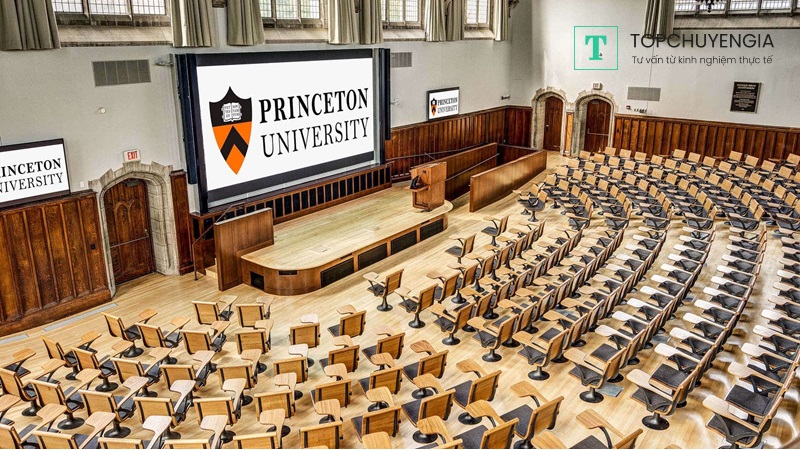 Chương trình đào tạo của đại học Princeton