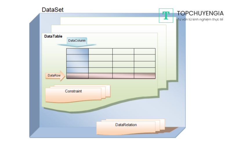 Cấu trúc của Dataset