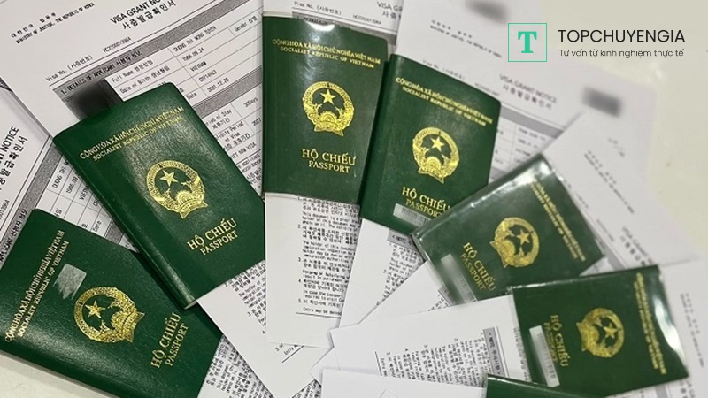 Đi Hàn Quốc có cần visa không?