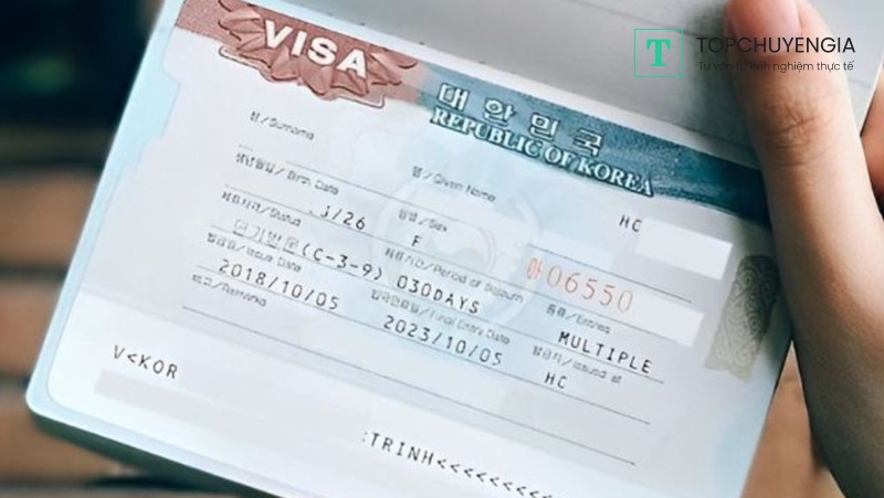 Các loại visa thương mại Hàn Quốc