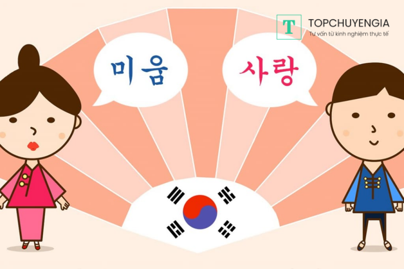 Giới thiệu chung về du học Hàn ngành phiên dịch