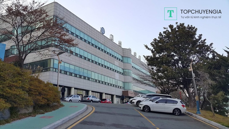 Top trường Đại học nổi tiếng ở Busan