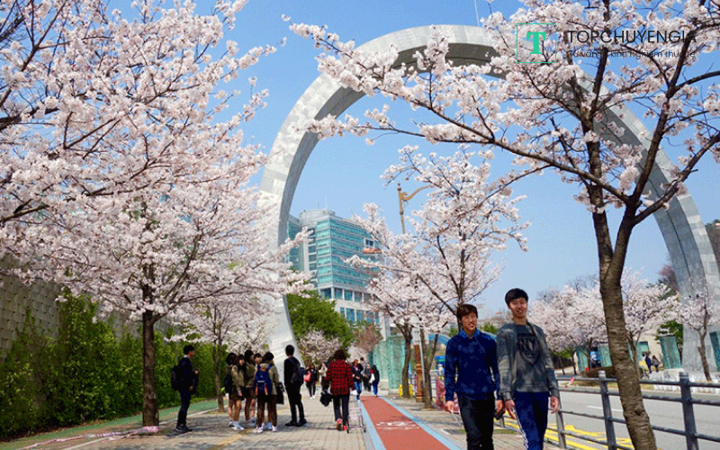 Học phí tại Busan khoảng từ 9.000.000 KRW – 11.000.000 KRW