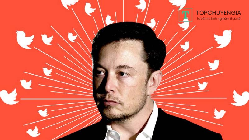 Elon Musk mất 13 tỷ USD trong một ngày