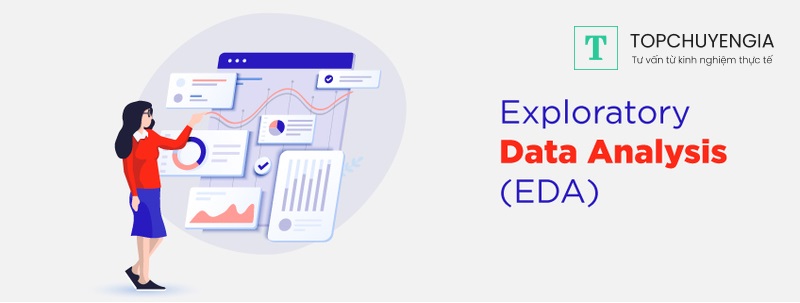 Exploratory Data Analysis là gì?