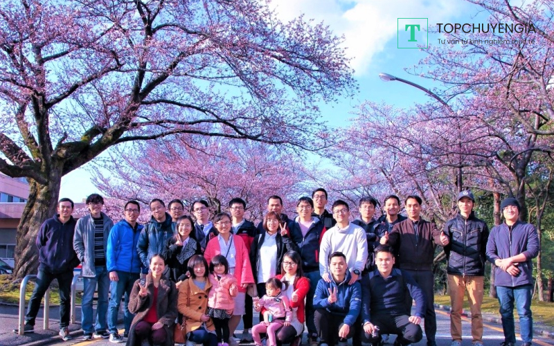 Hội sinh viên Việt Nam tại Nhật  VYSA