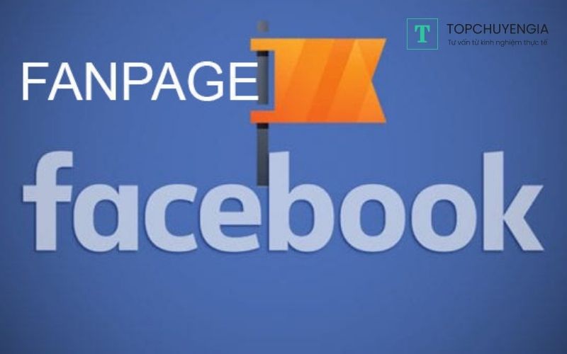 Hướng dẫn SEO Fanpage trên Facebook tăng triệu lượt follow