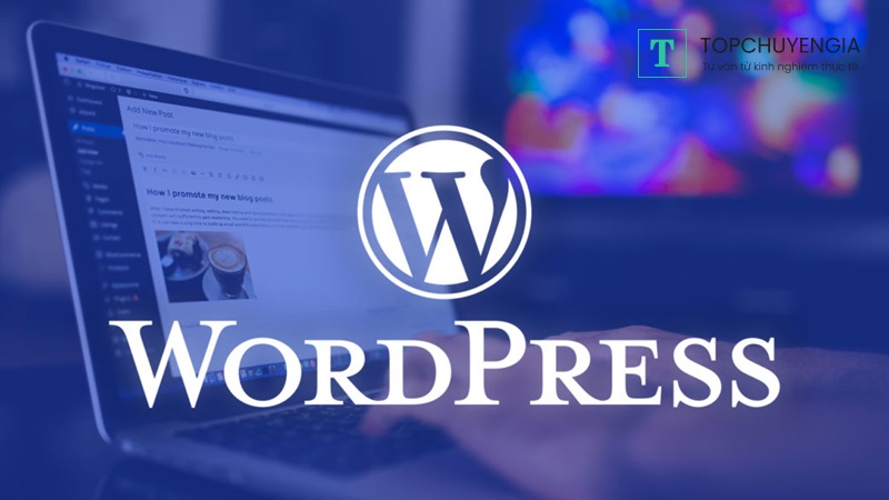 Quy trình kiếm tiền với WordPress