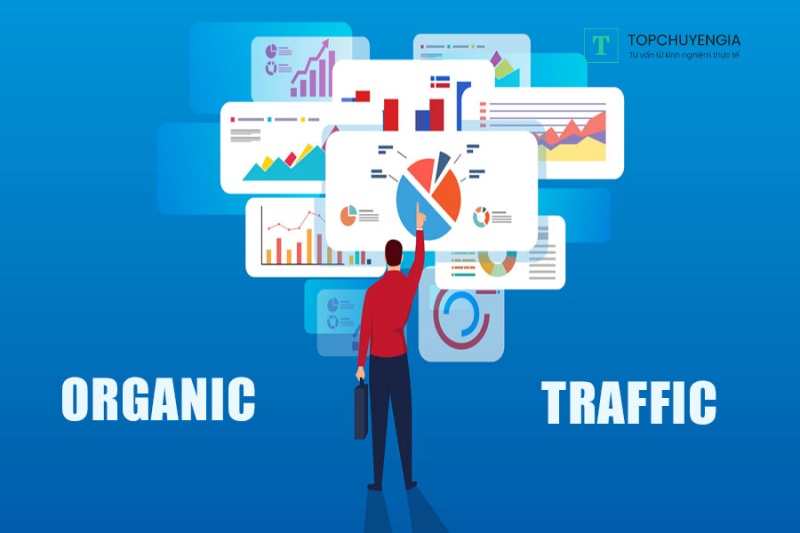KPI trong Markeitng - Organic Traffic