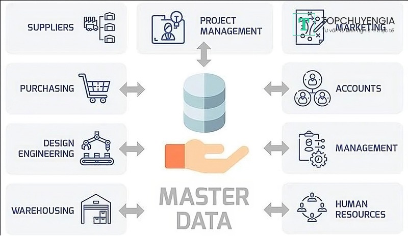 Các thành phần chính của Master Data