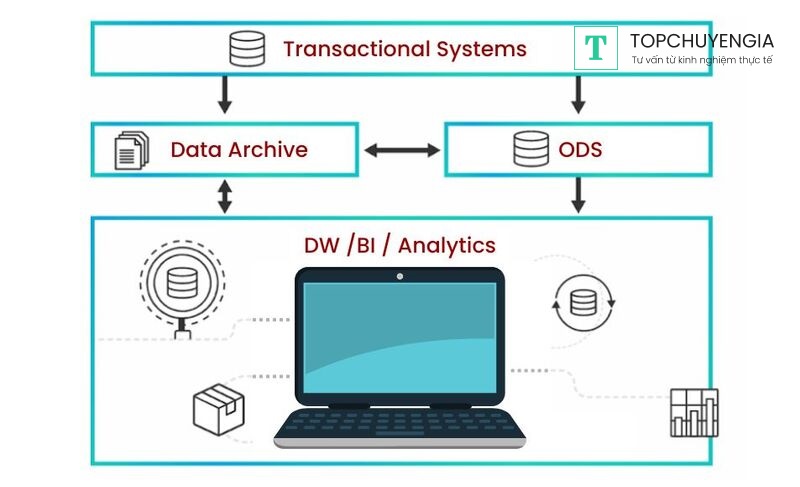 Transaction Data là gì?