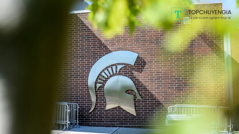 Chương trình đào tạo trường Michigan State University