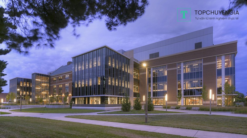 Yêu cầu tuyển sinh của trường Michigan State University