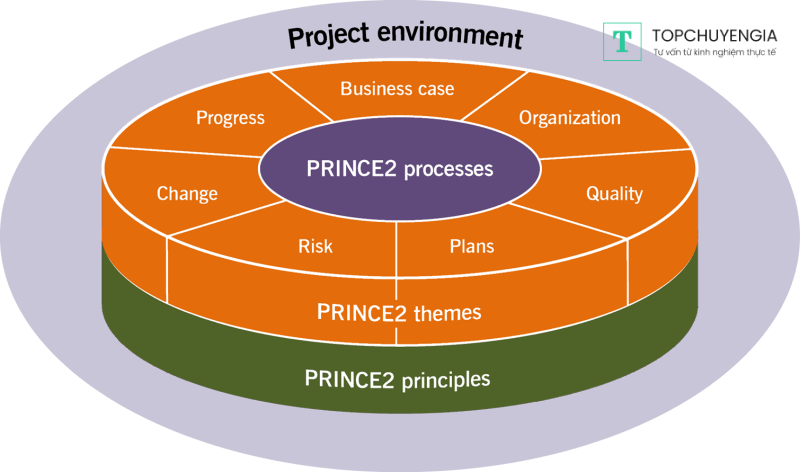 mô hình quản lý dự án