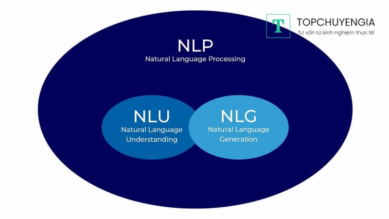Các thành phần chính của NLP