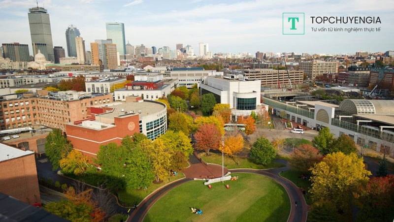 Trường đại học Northeastern University