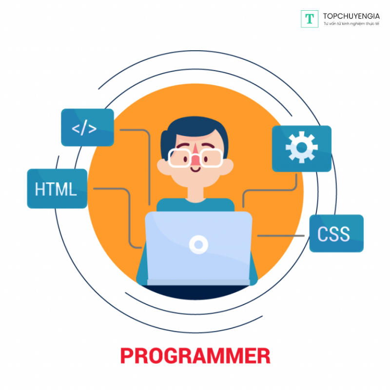 programmer là gì
