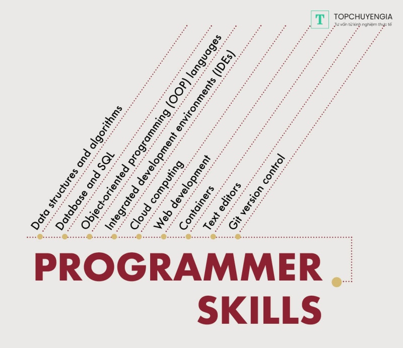 programmer là gì
