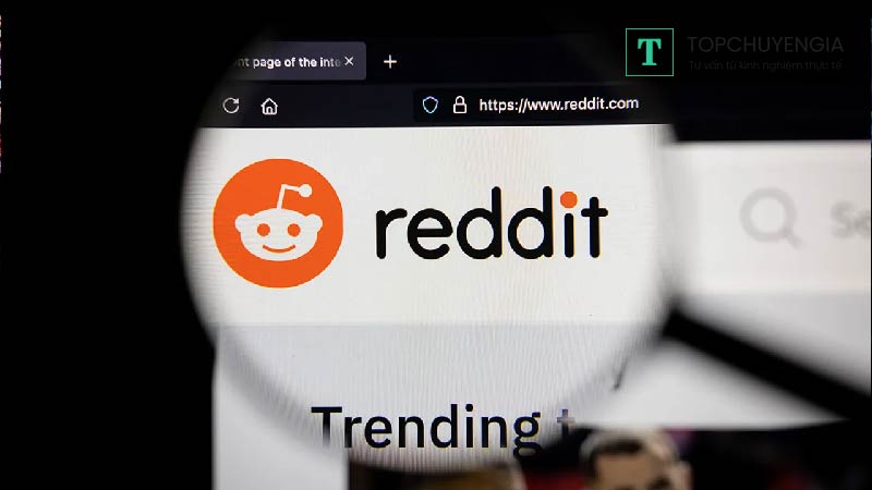 Reddit thu phí sử dụng đối với Microsoft và Google
