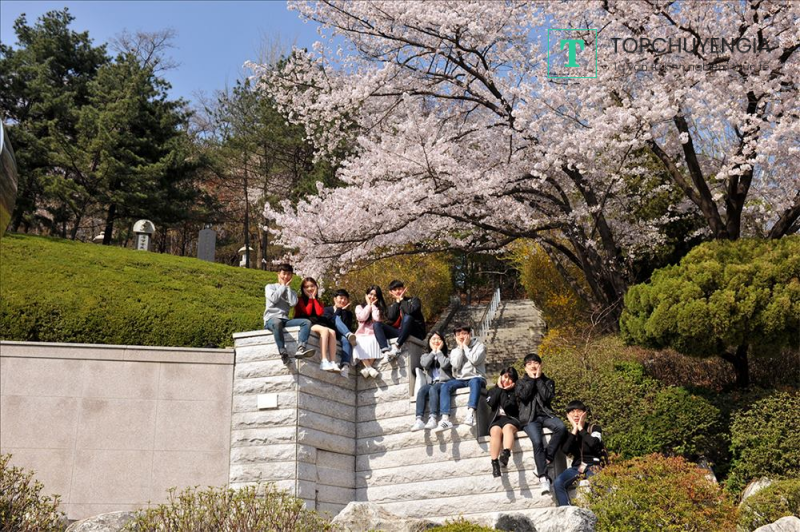 Học phí du học Đại học Kookmin 2024
