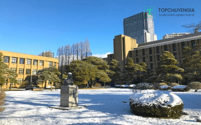 Review đại học Tohoku mới nhất