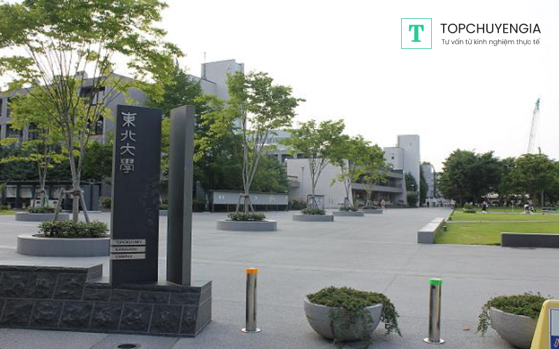 Review đại học Tohoku mới nhất hiện nay