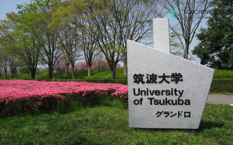 Review đại học Tsukuba mới nhất  hiện nay
