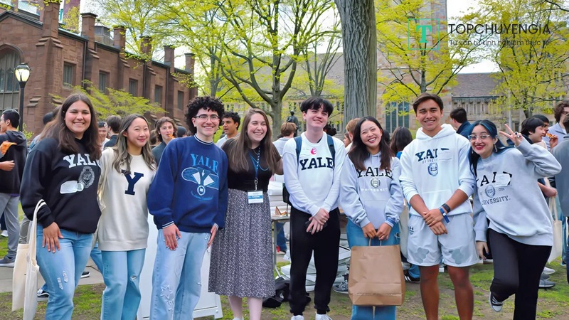 Điều kiện tuyển sinh trường đại học Yale