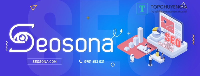 Giới thiệu công ty SEOSONA