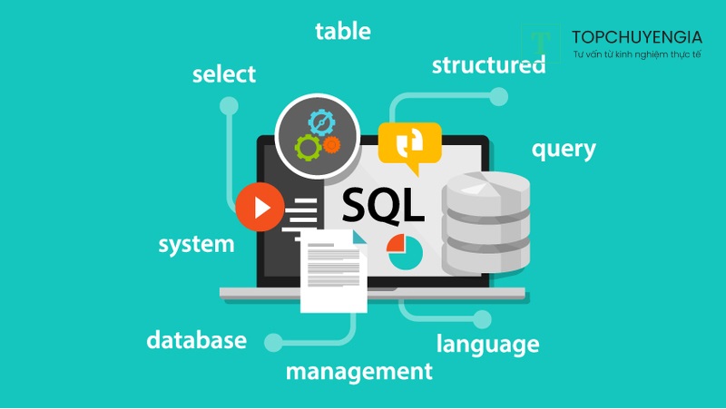 Mục đích sử dụng SQL Server