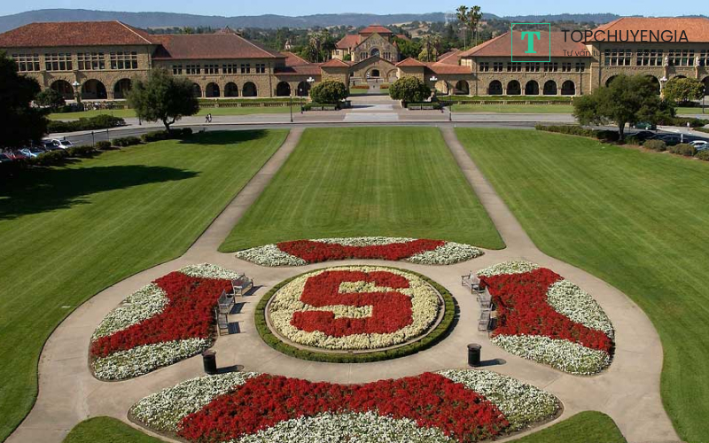 Stanford ngôi trường danh giá của Mỹ