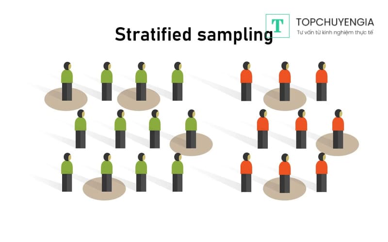 l-y-m-u-ph-n-t-stratified-sampling-l-g-trong-data-analysis