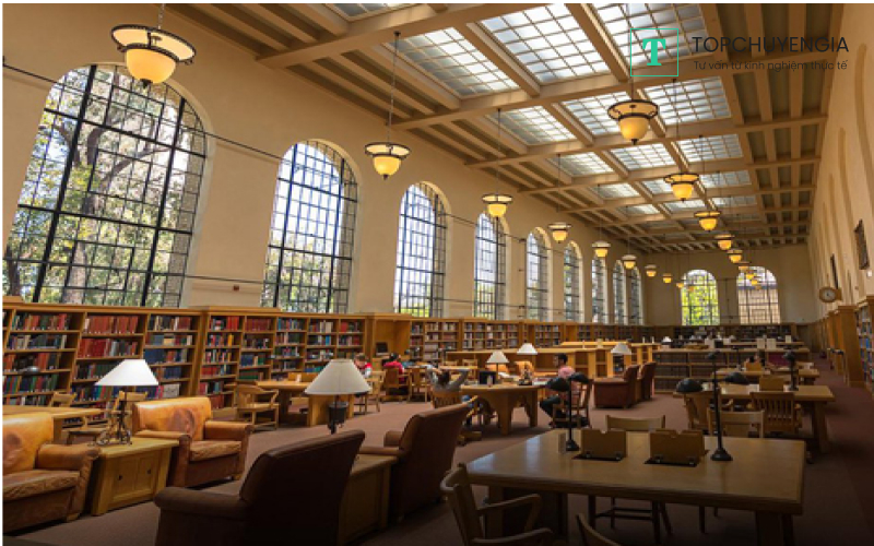 Thư viện của trường Đại học Stanford