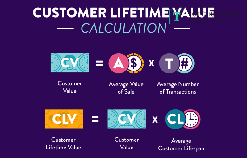 Customer Lifetime Value (CLV)