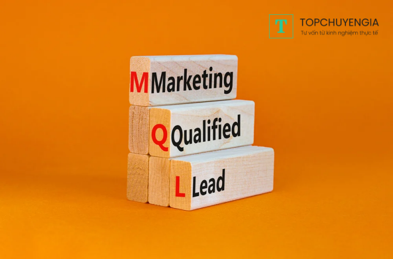 Marketing Qualified Lead (MQL)