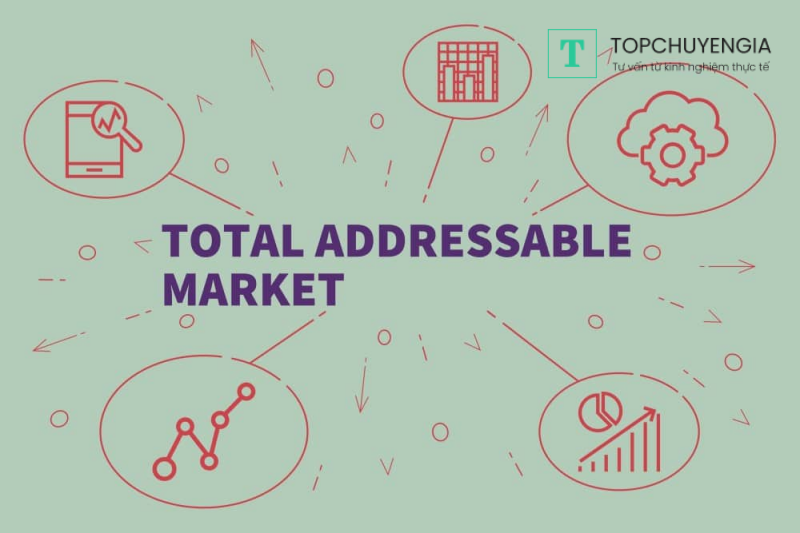 Total Addressable Market (TAM)