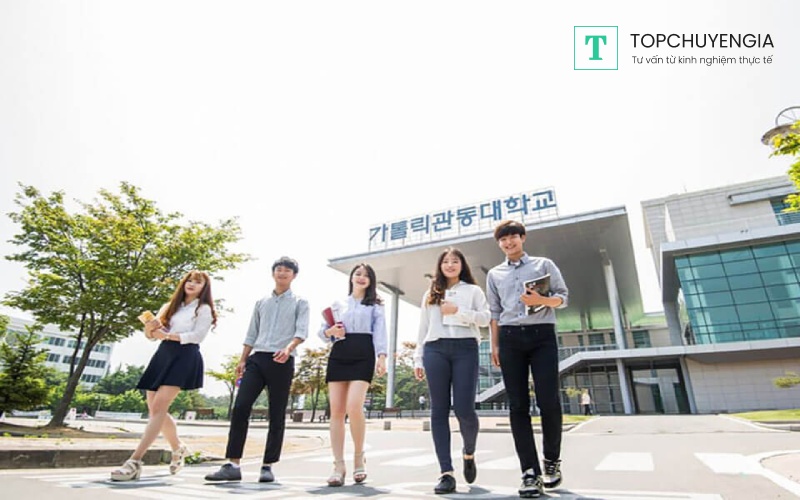tiêu chuẩn để đi du học Hàn Quốc - Những thông tin cơ bản về điều kiện để trở thành du học sinh tại Hàn 
